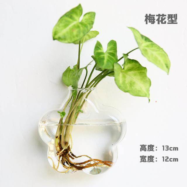 Handmade  New Hexagonal  Wall Clear Terrarium Vase - MaviGadget