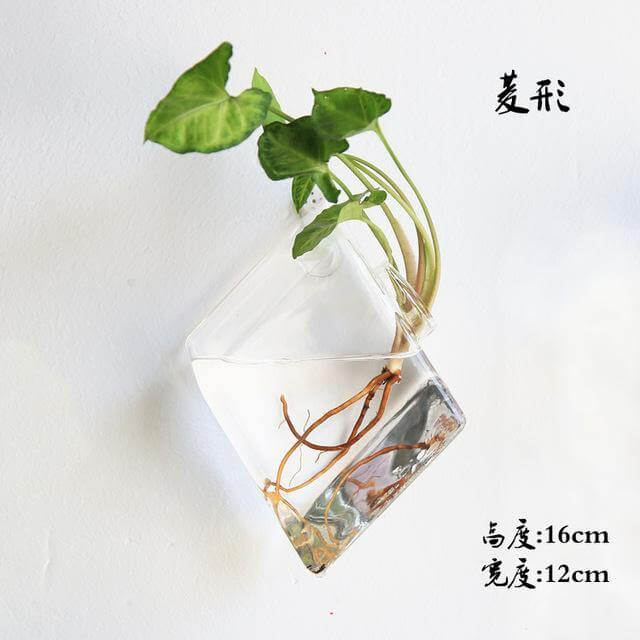 Handmade  New Hexagonal  Wall Clear Terrarium Vase - MaviGadget