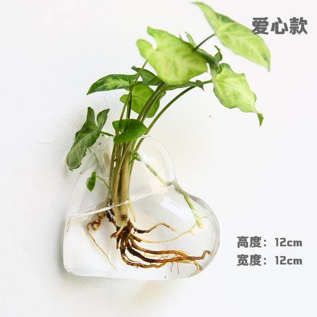 Handmade  New Hexagonal  Wall Clear Terrarium Vase - MaviGadget