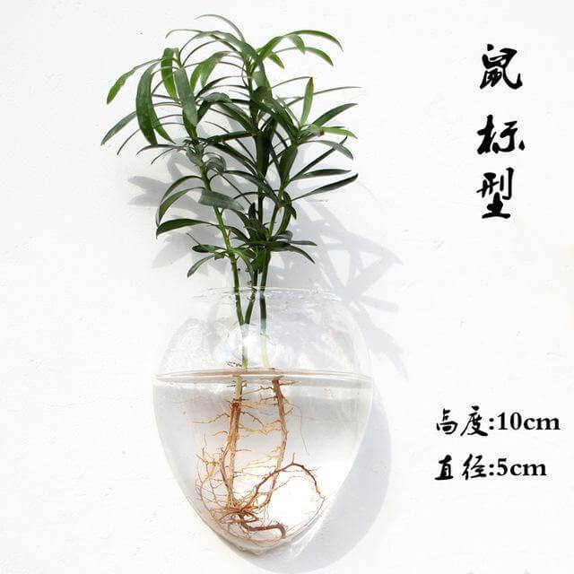 Handmade  New Hexagonal  Wall Clear Terrarium Vase - MaviGadget