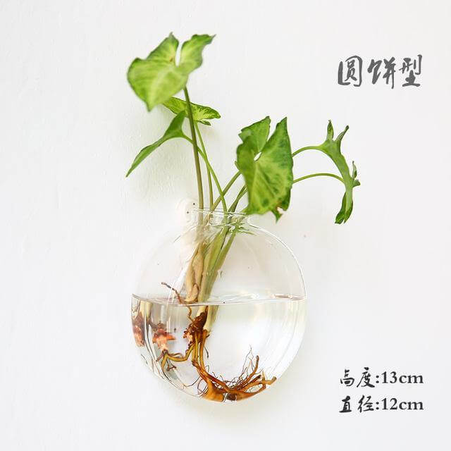 Handmade  New Hexagonal  Wall Clear Terrarium Vase - MaviGadget