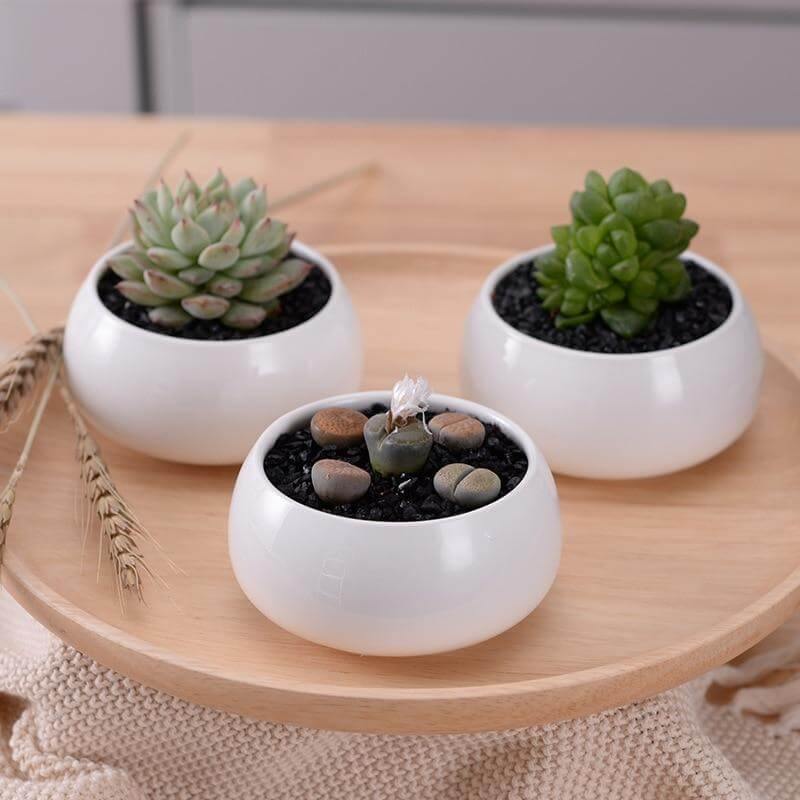 Modern Minimalist White Ceramic Flowerpot - MaviGadget