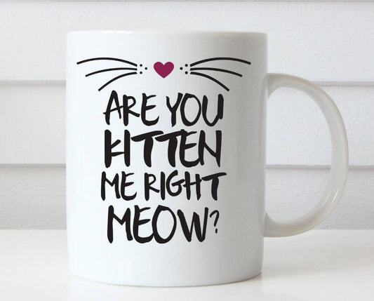 Are you kitten me right now Ceramic Mug - MaviGadget