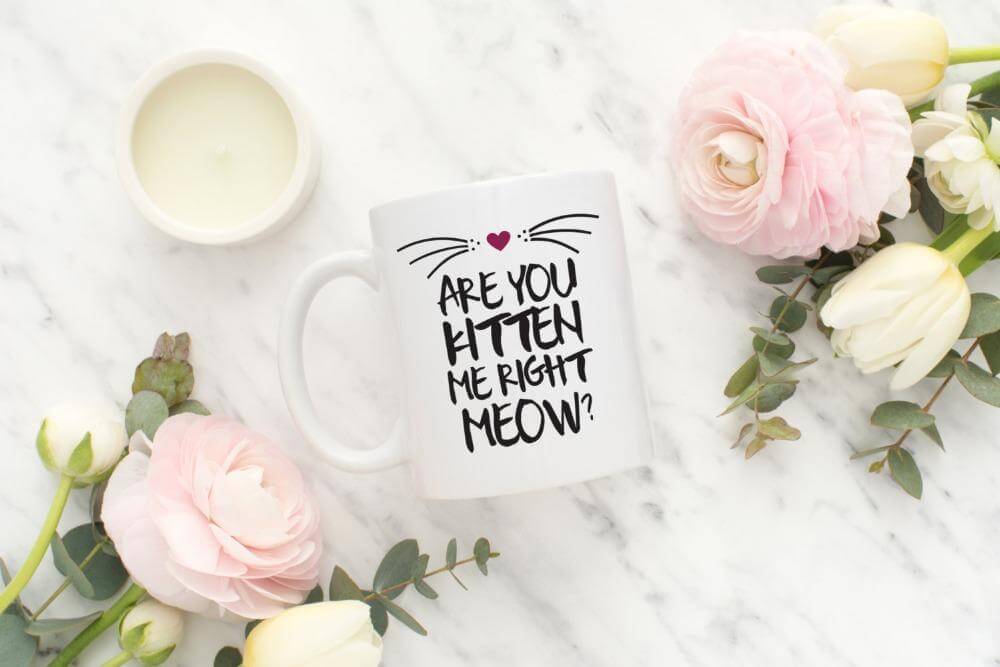 Are you kitten me right now Ceramic Mug - MaviGadget