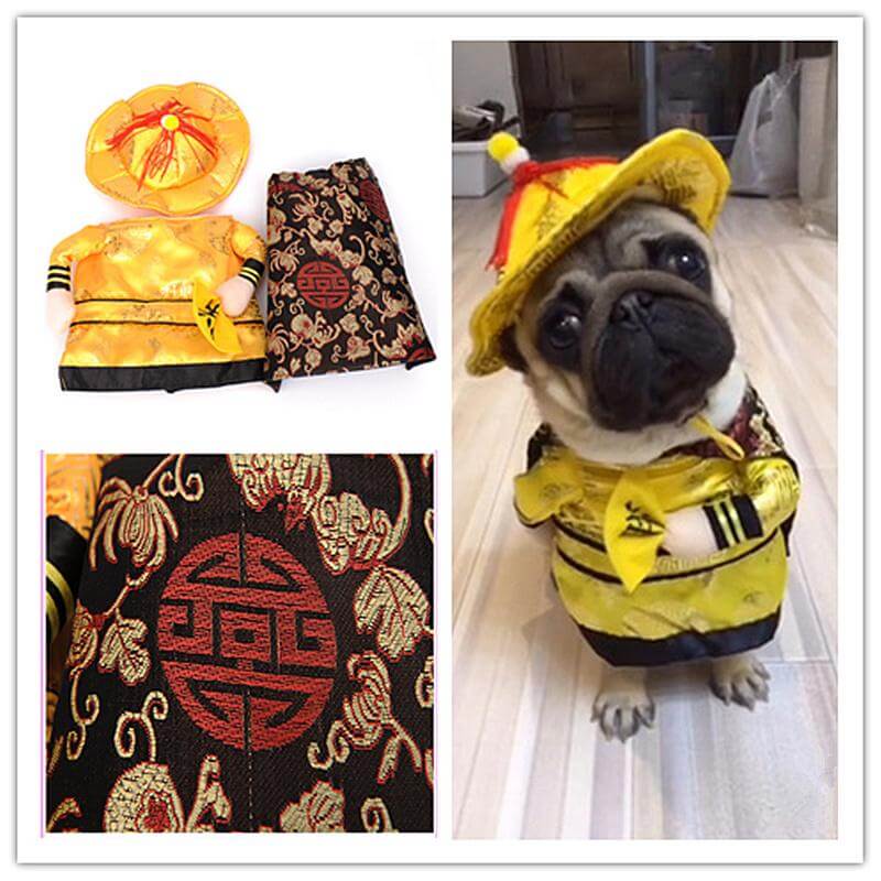 Golden King Empire Cosplay Pet Costumes - MaviGadget