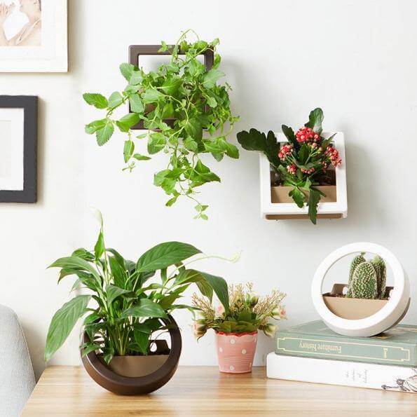 2 Pcs/Lot Wall Hanging Plant Pot - MaviGadget
