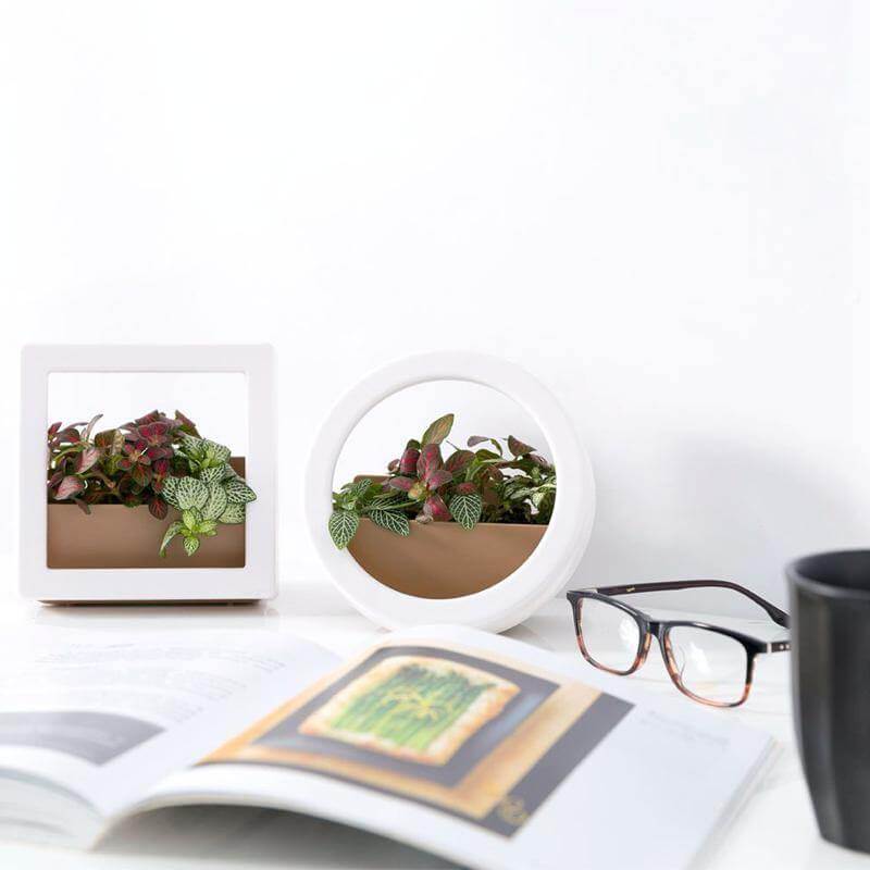 2 Pcs/Lot Wall Hanging Plant Pot - MaviGadget