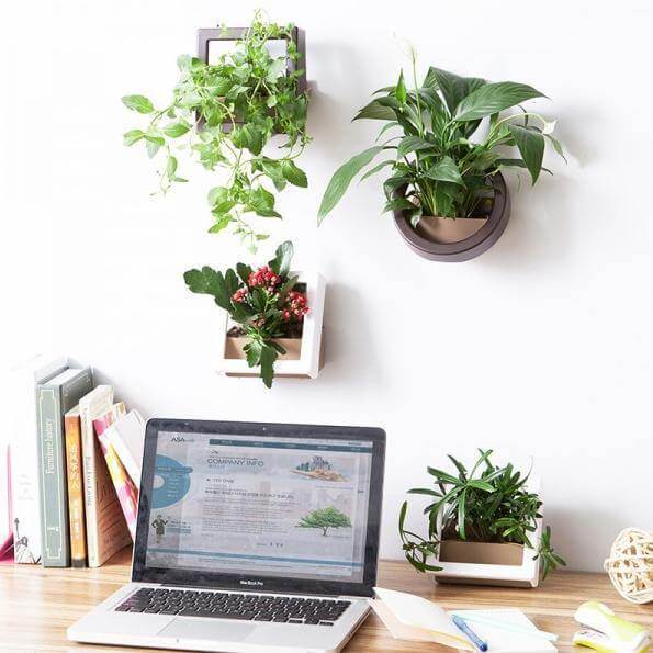 2 Pcs/Lot Wall Hanging Plant Pot - MaviGadget