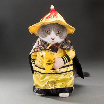 Golden King Empire Cosplay Pet Costumes - MaviGadget