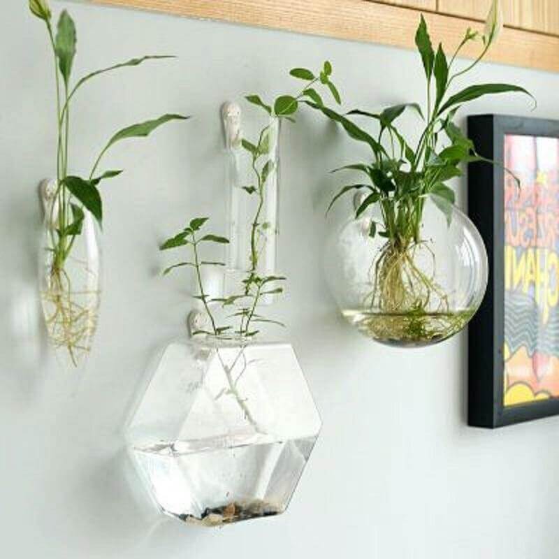 Handmade  New Hexagonal  Wall Clear Terrarium Vase - MaviGadget