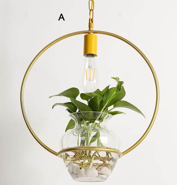 Modern Decorative Hanging Lights - MaviGadget