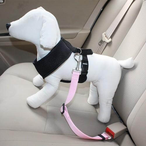 Pet Car Safety Belt Leash - MaviGadget