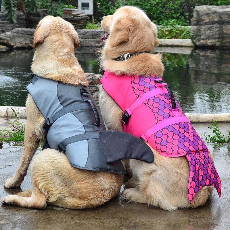 Shark Doggie Swim Vest - MaviGadget