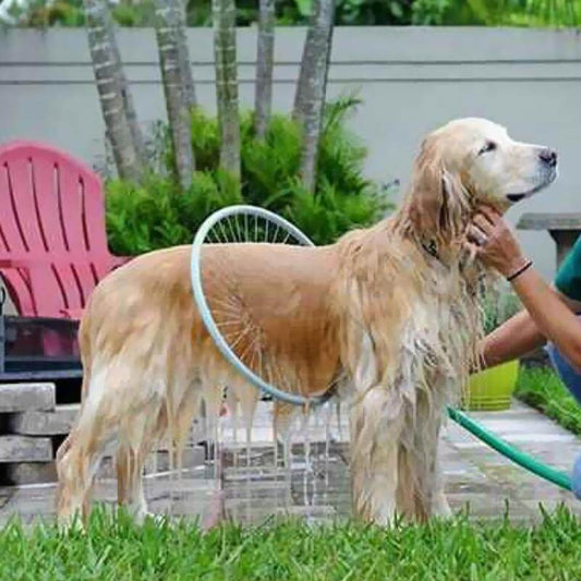 360 Degree Shower for Pet - MaviGadget