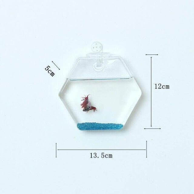 Handmade  New Hexagonal  Wall Clear Terrarium Vase - MaviGadget