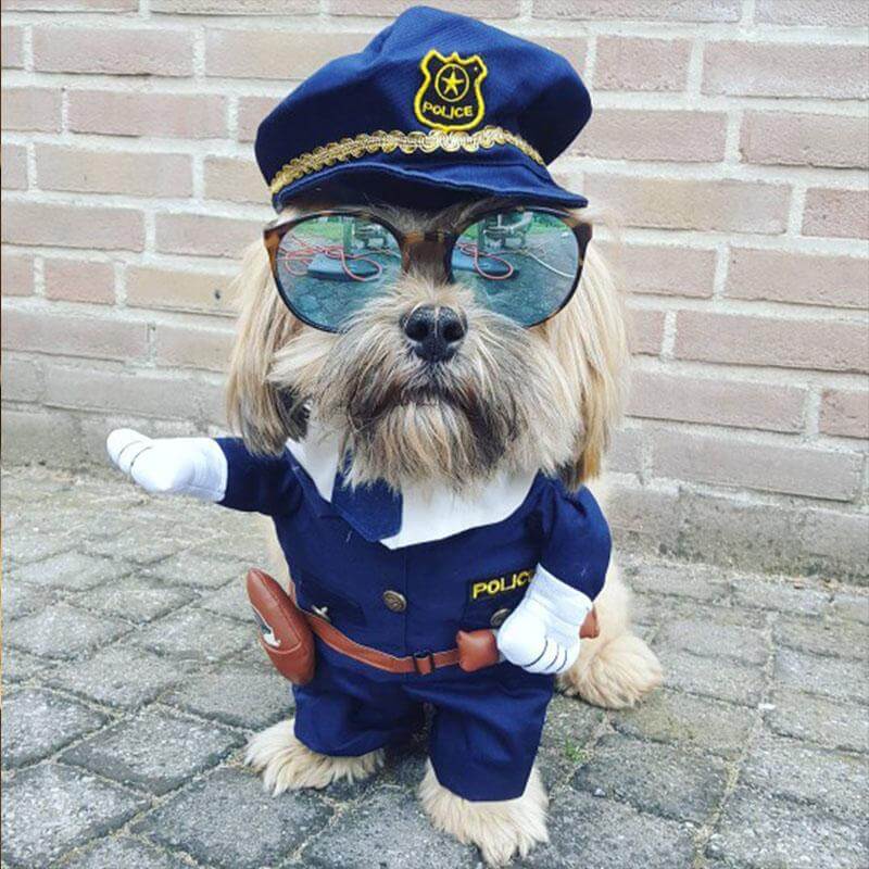 Policeman Dog Costume - MaviGadget