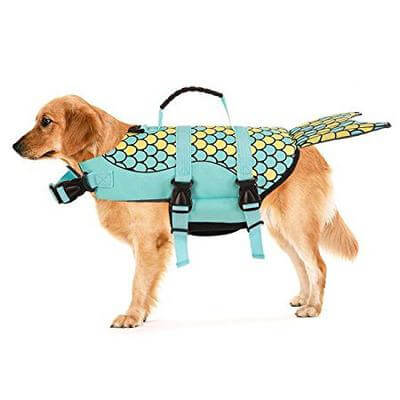 Shark Doggie Swim Vest - MaviGadget