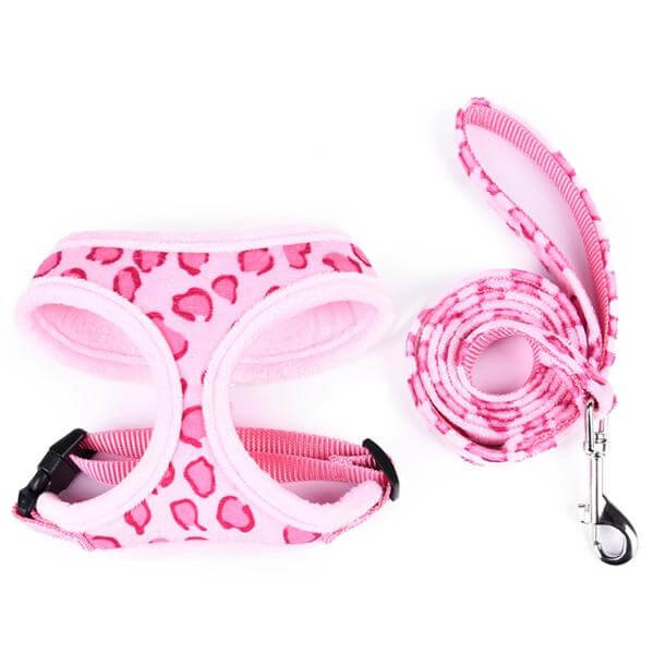 Pet Dog Adjustable Collar - MaviGadget