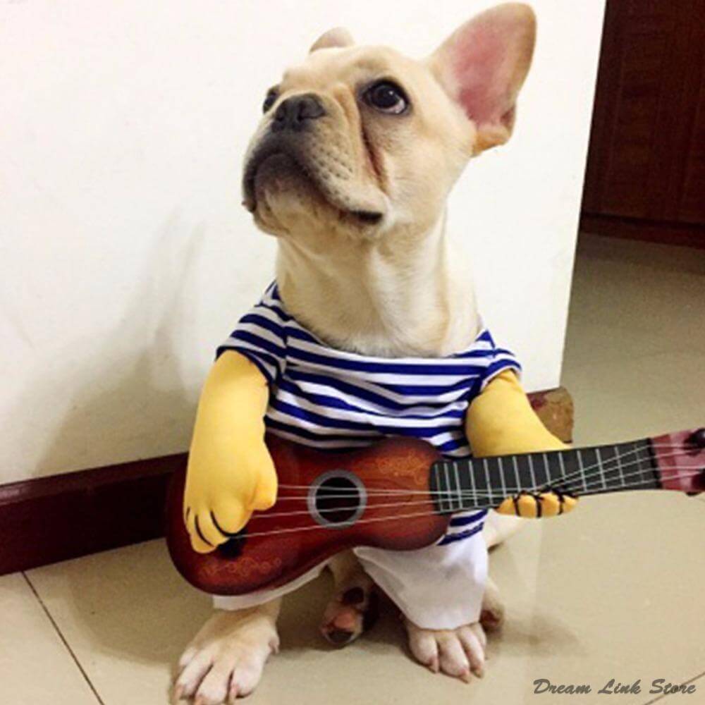 Funny Guitar Pet Costume - MaviGadget