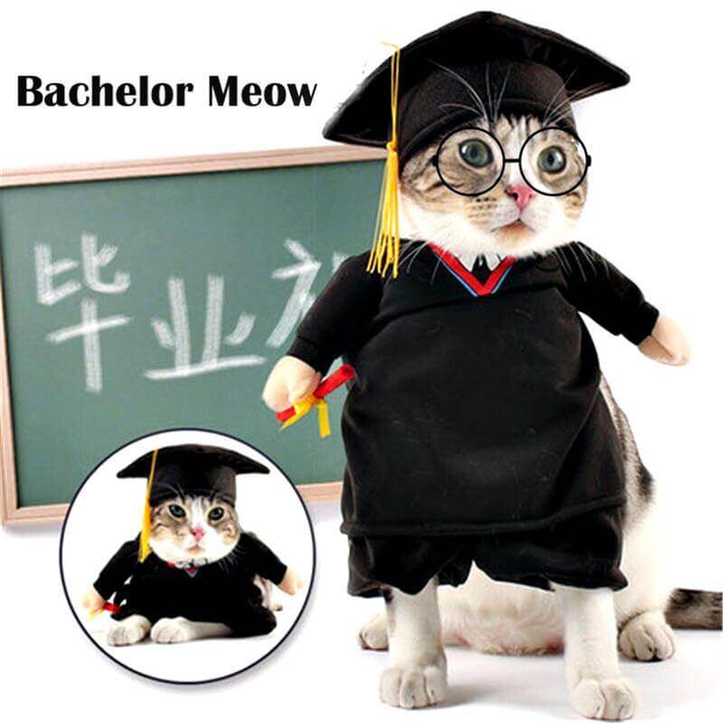 Pet Professor Costume - MaviGadget