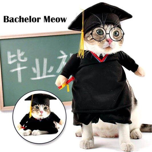 Pet Professor Costume - MaviGadget