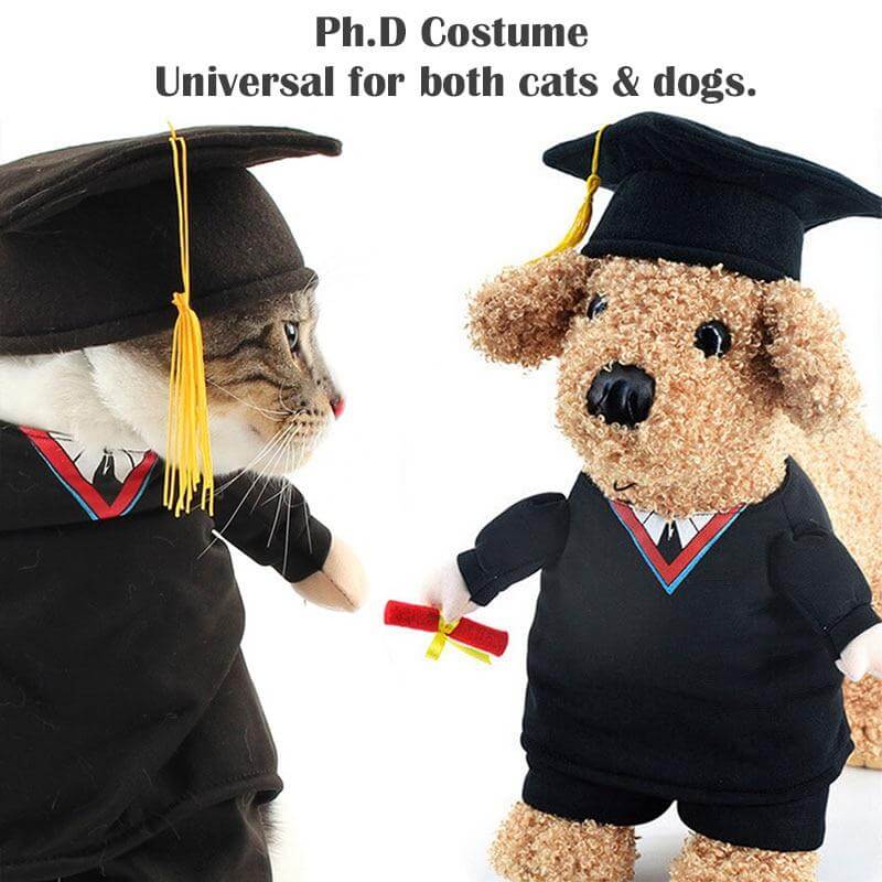Pet Professor Costume - MaviGadget