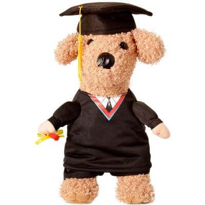 Pet Professor Costume - MaviGadget