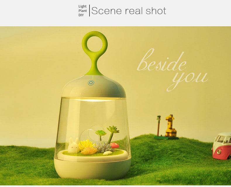 Novelty USB Charging LED Colorful Micro-landscape Plant Light - MaviGadget