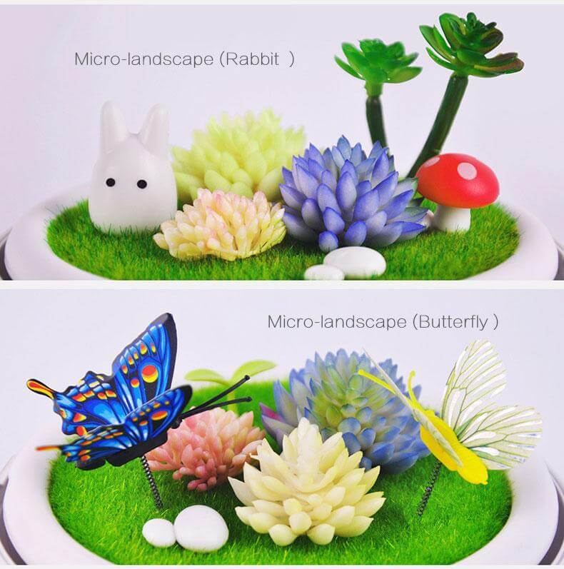 Novelty USB Charging LED Colorful Micro-landscape Plant Light - MaviGadget