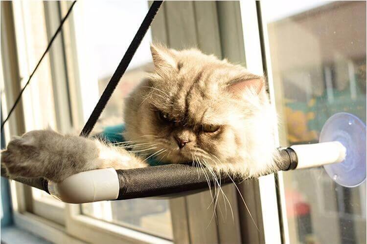 Comfortable Cat Hammock Bed - MaviGadget