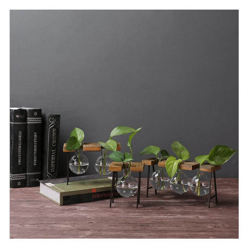 Creative Home Decoration Hydroponic With Iron Feet Plant Vase - MaviGadget