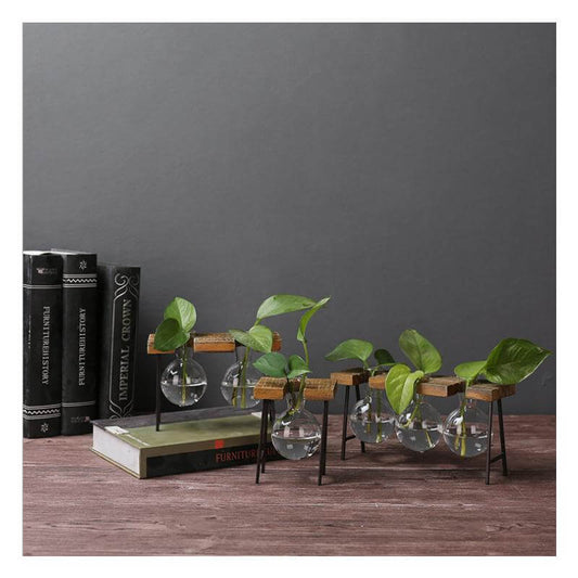 Creative Home Decoration Hydroponic With Iron Feet Plant Vase - MaviGadget