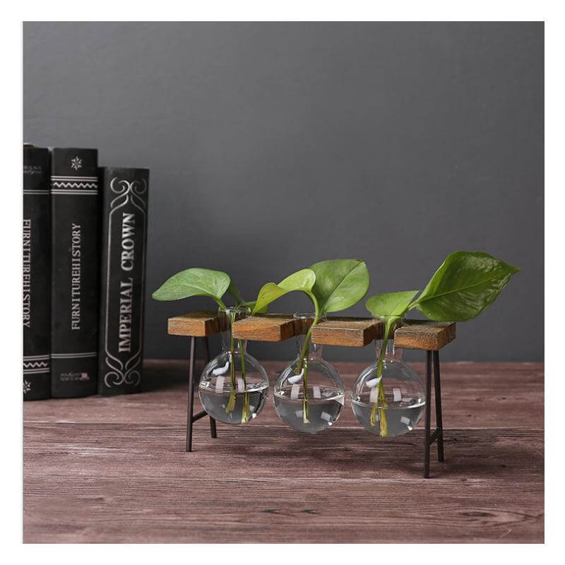 Creative Home Decoration Hydroponic With Iron Feet Plant Vase - MaviGadget