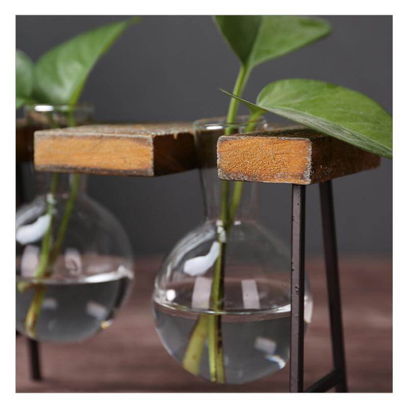 Creative Home Decoration Hydroponic With Iron Feet Plant Vase - MaviGadget