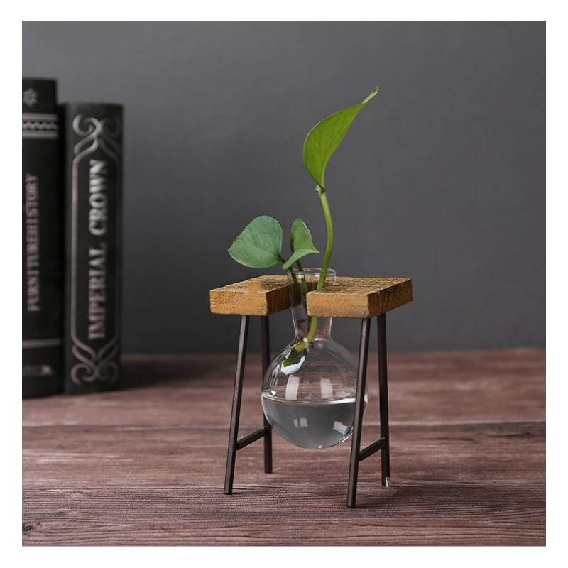 Creative Home Decoration Hydroponic With Iron Feet Plant Vase - MaviGadget