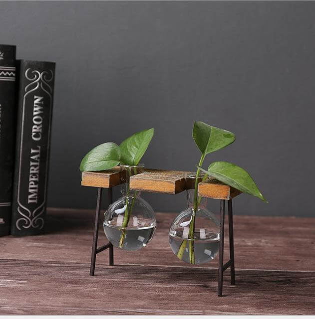 Creative Home Decoration Hydroponic With Iron Feet Plant Vase - MaviGadget