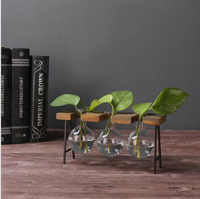Creative Home Decoration Hydroponic With Iron Feet Plant Vase - MaviGadget