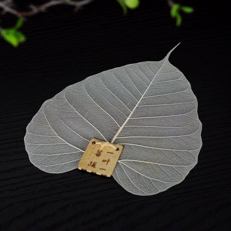 Large Leaf Tea Filter - MaviGadget