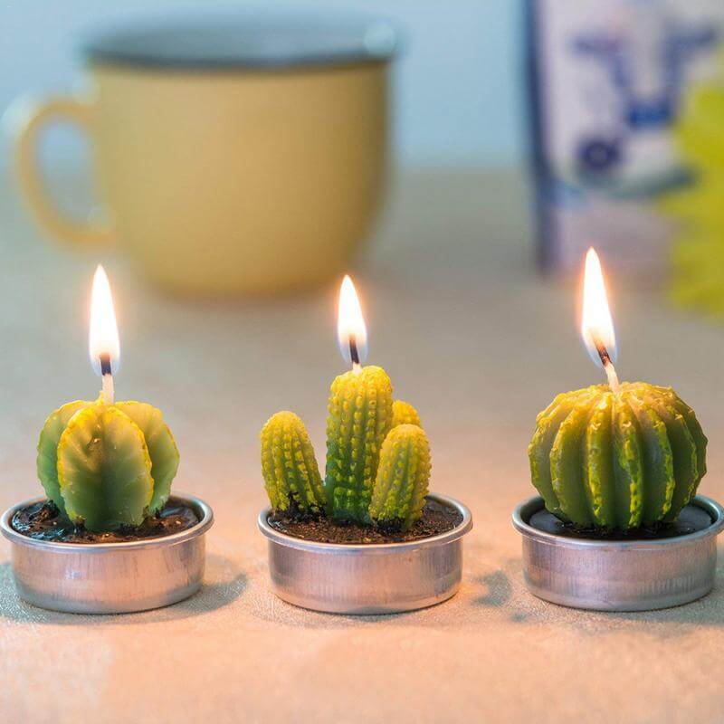 12Pcs Cactus Aroma Candle - MaviGadget