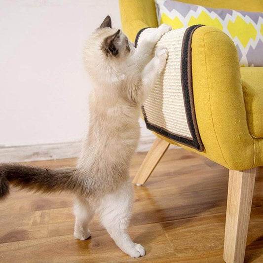 Pet Couch Scratch Board - MaviGadget