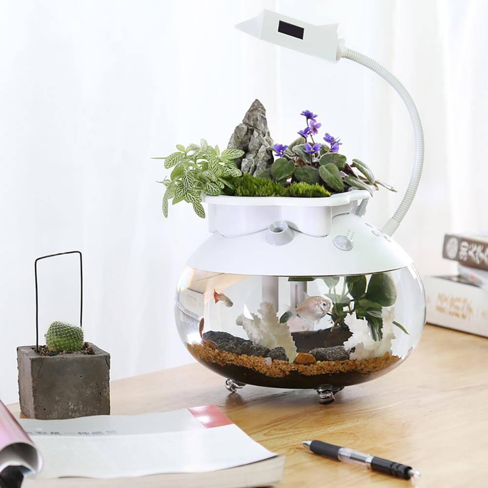 Creative Ecological Mini Fish Tanks - MaviGadget