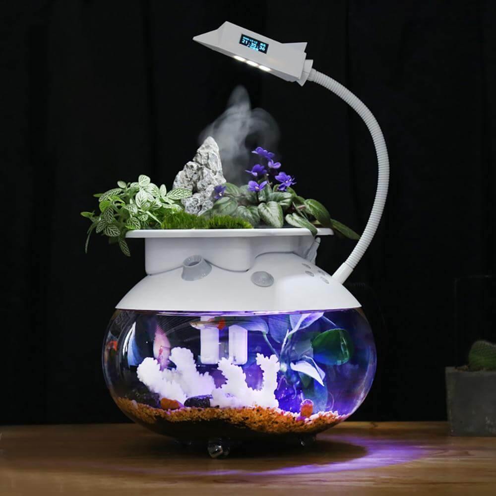 Creative Ecological Mini Fish Tanks - MaviGadget