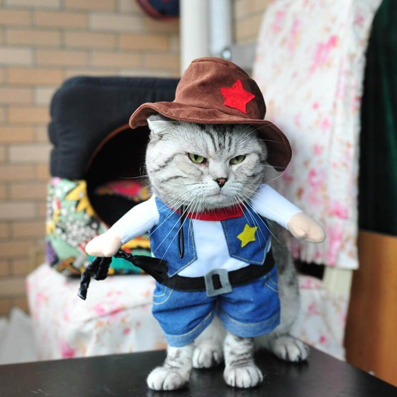 Pet Costume Cowboy Jeans - MaviGadget