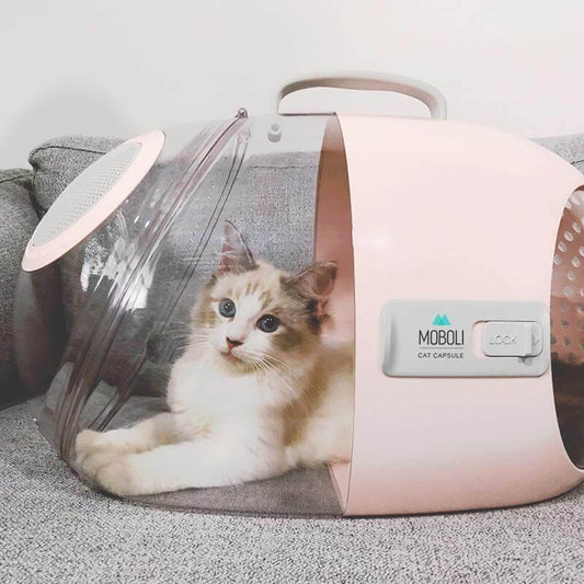 Pet Breathable Travel Capsule - MaviGadget