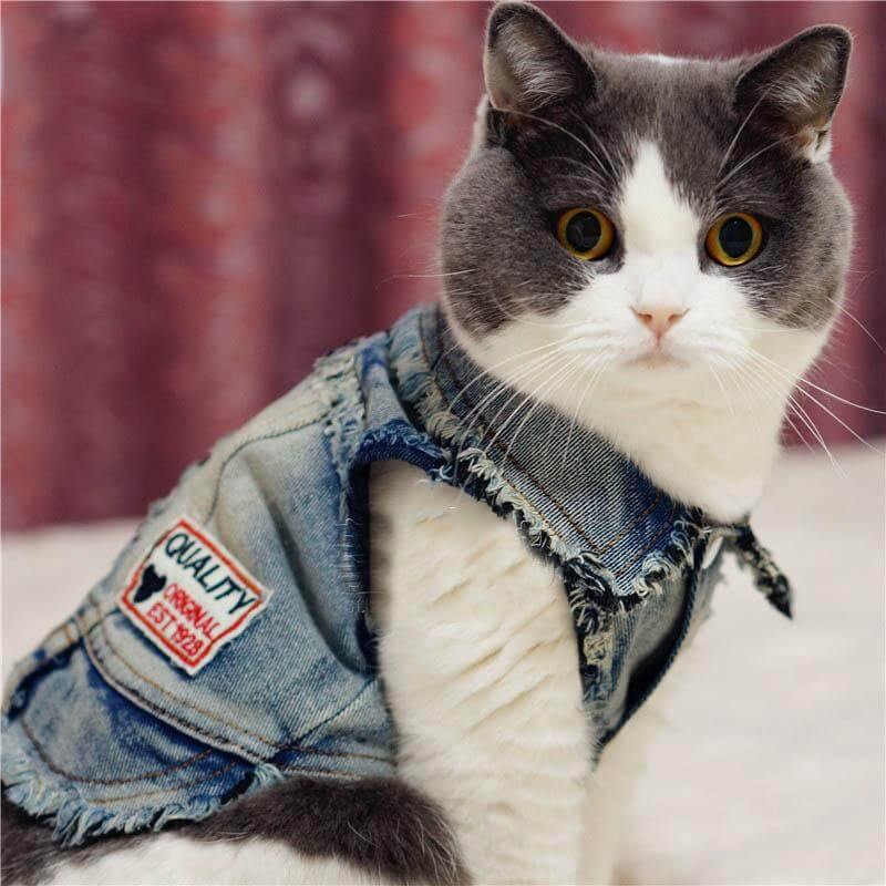 Pet Cowboy Jean Jacket - MaviGadget