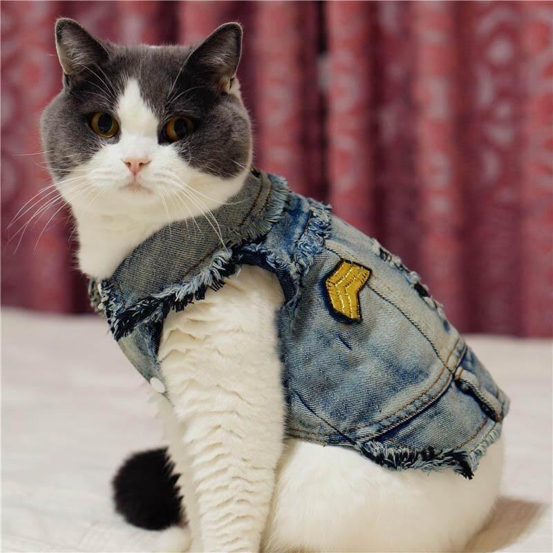 Pet Cowboy Jean Jacket - MaviGadget
