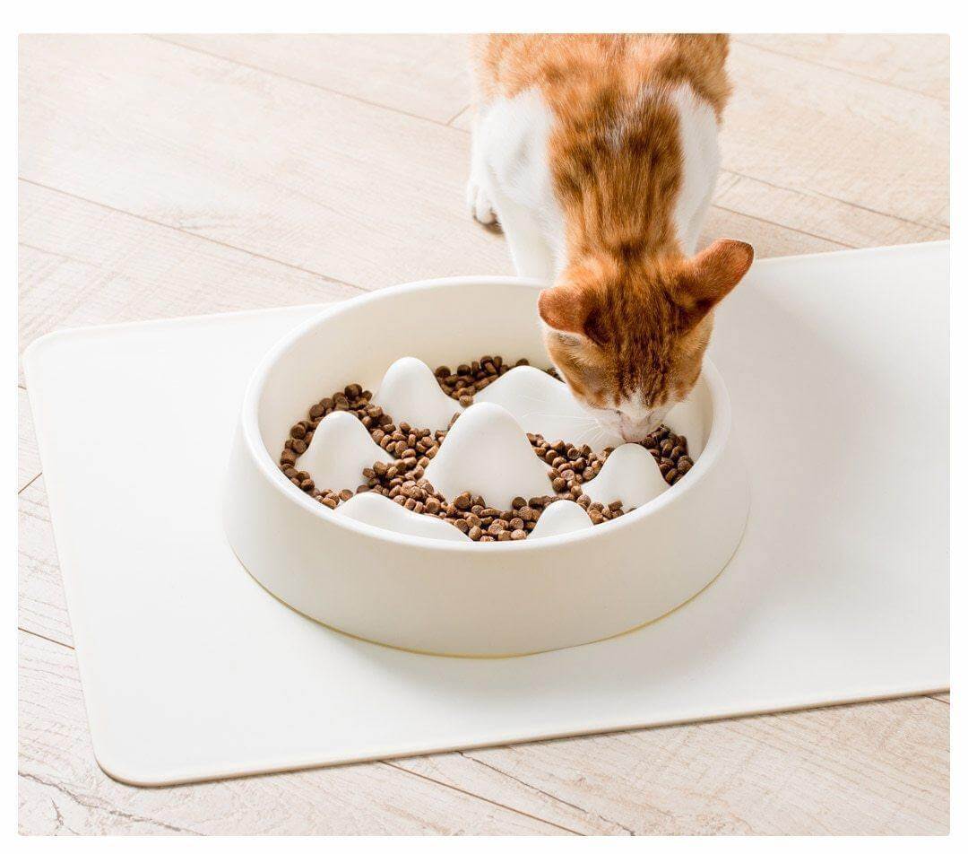 Modern Pet Slow Food Bowl - MaviGadget