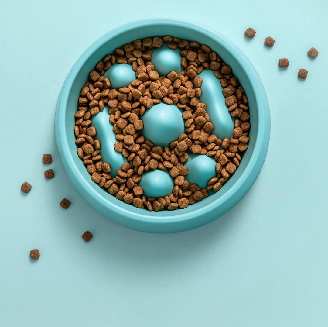 Modern Pet Slow Food Bowl - MaviGadget