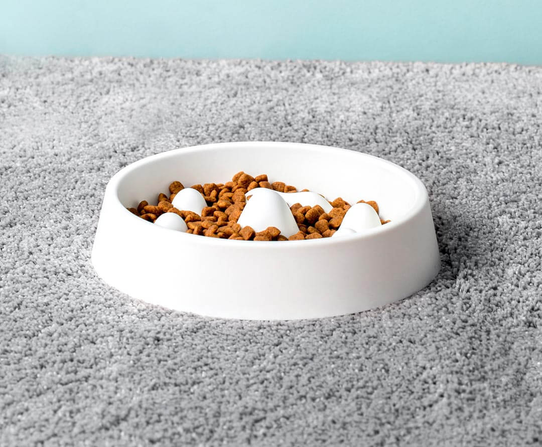 Modern Pet Slow Food Bowl - MaviGadget