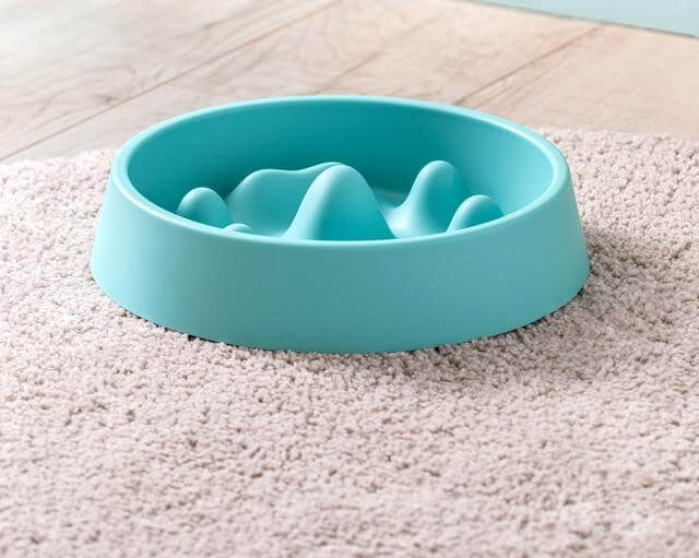 Modern Pet Slow Food Bowl - MaviGadget